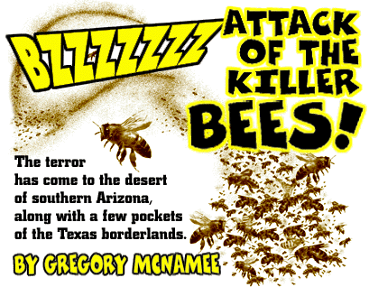 Attack Of The Killer Bees!