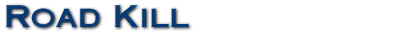 Road Kill
