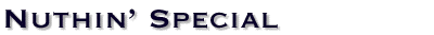 Nuthin' Special