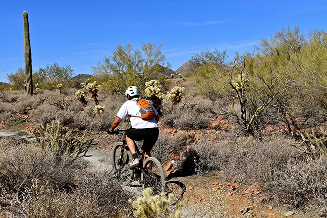 [Update]: Decision on The Bike Ranch May Be Tabled to Tuesday, July 2