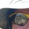 Avatar photo